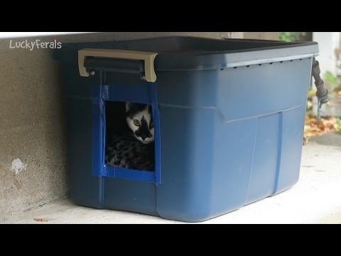 Making Another DIY Feral Cat Shelter For Outdoor Cats