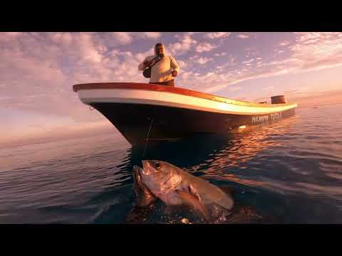 Spearfishing Fiji September 2022