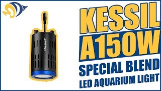 kessil a150w 10000k special blend led aquarium light sky blue