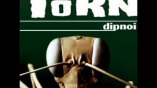 Dipnoi - Torn.