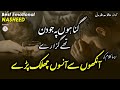 Best Emotional Nasheed Gunahon Pe Jo Din The Guzare Hafiz Saadullah Madni Islamic Releases