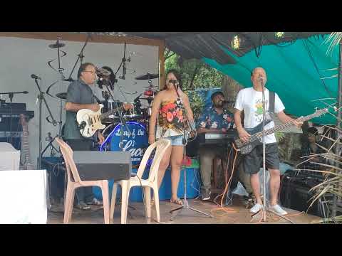 Goan Band Lace - San Joao Theme song 2022 - Viva San Joao  #laurypires #goanbandlace