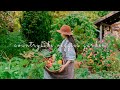 165 Growing A Vegetables Garden In My Backyard Satisfying Harvest Slow Countryside Life