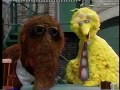 Sesame Street All About Eggs