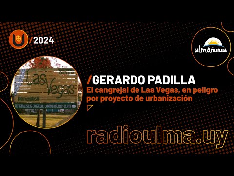 Ulmañanas - Gerardo Padilla / ¿Qué pasa en el cangrejal de Las Vegas? / 19.08.2024