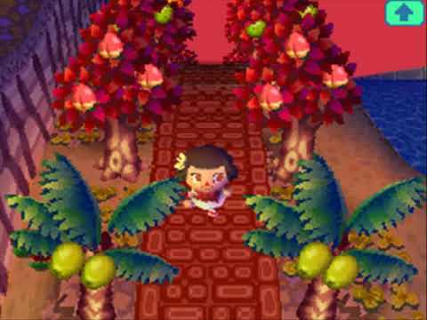 Animal Crossing: Wild World Town Tour - Suncombe