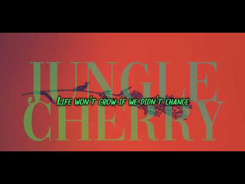 Jungle - Cherry [Lyrics]