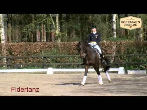 Fidertanz und Nachzucht