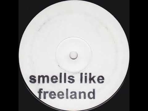 nirvana - smells like teen spirit adam freeland remix 2003