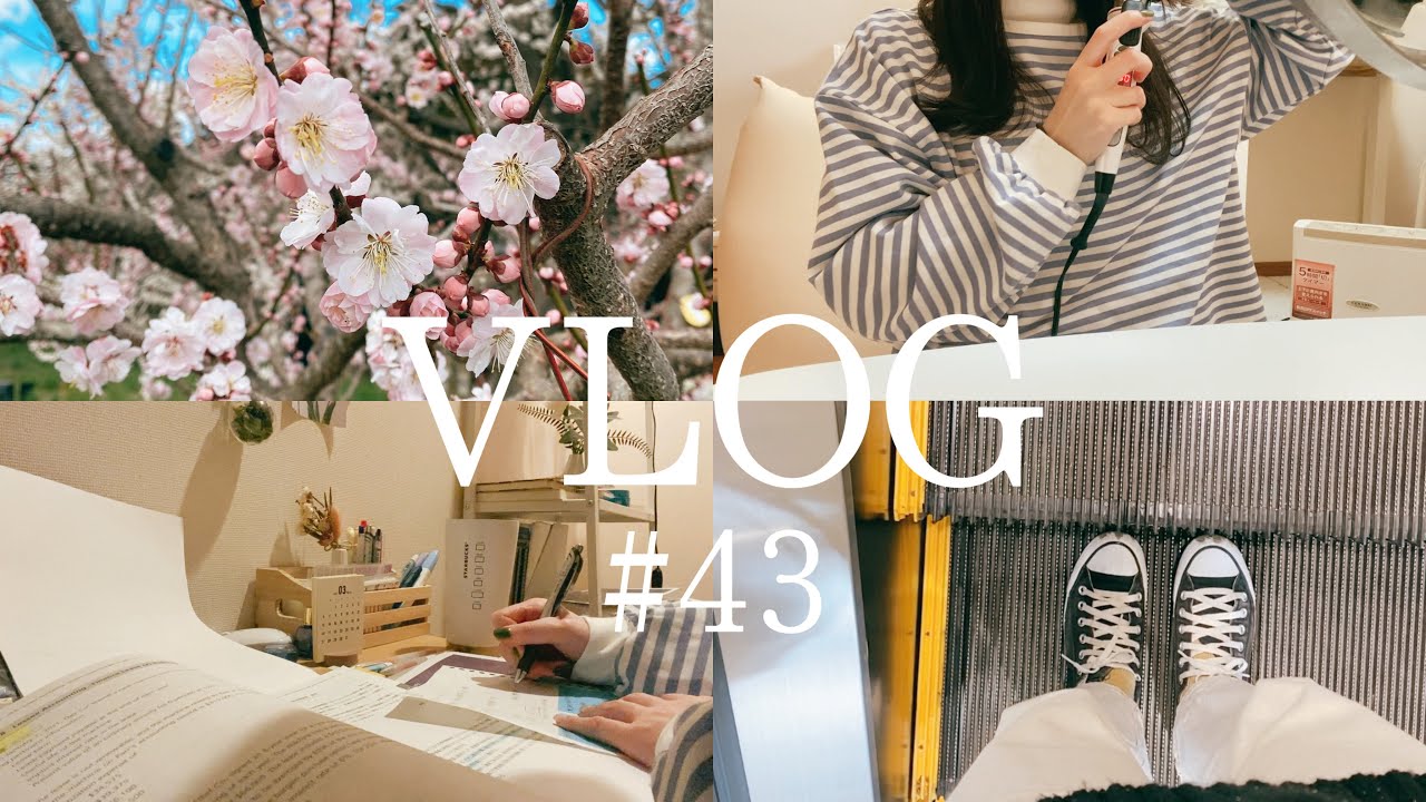 【vlog】春の三連休study vlog 🌸/勉強と買い物とお出掛け