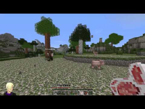 Minecraft WG S03-E006 - ( Alle reden durcheinander ) [Deutsch] -HD- [332]