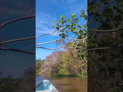 Pescaria, Itapiranga AM