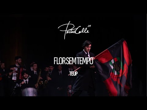 TEUP - Flor Sem Tempo | Portuscalle 24