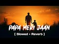 PAPA MERI JAAN ANIMAL FATHER S DAY SPECIAL SONG RANBIR KAPOOR ANIL KAPOOR VG Lofi Music