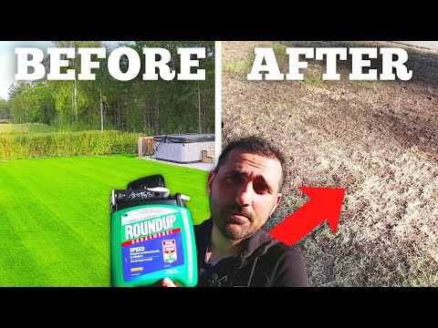 How To Kill A Lawn Without Glyphosate - How To Start Over Step 1