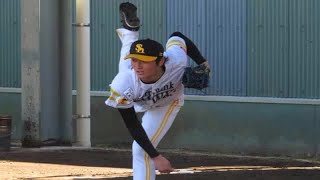 ソフトバンクが15年ドラ1高橋純ら3選手をプエルトリコWLに派遣