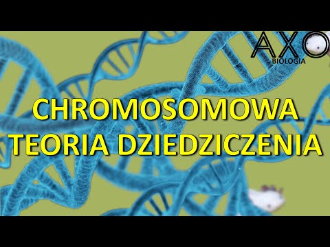 110. Chromosomowa teoria dziedziczenia