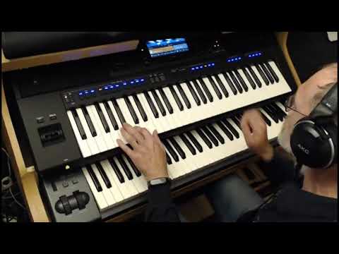 Bright Eyes - Art Garfunkel - (Cover PSR-SX700)