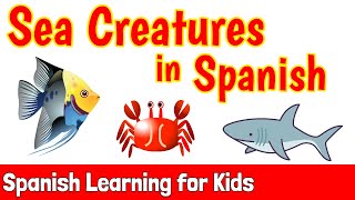 Sea Creatures in Spanish