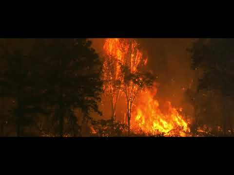 Rapture - together PANGEA