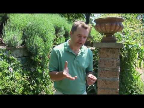 Natural Growth - Ask Ian Video Series