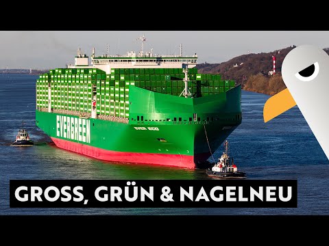 Imposant: EVER ECO 💚 Groß, Grün und Nagelneu 🛳️ ERSTANLAUF des neuen Containergiganten