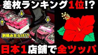 【ハナハナ】差枚ランキング1位のお店！？出し過ぎてる日本一のお店で全ツッパしたら絶対に勝てる説...【パチンカス養分ユウきのガチ実践#475 】