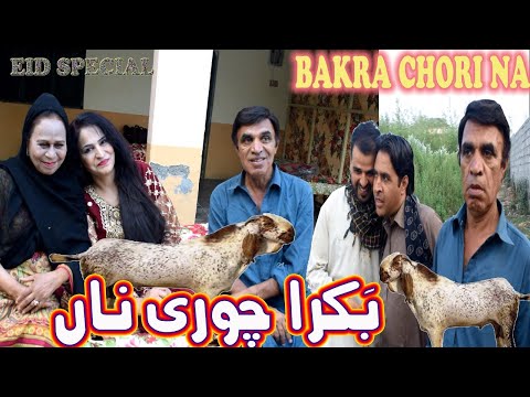 Bakra Chori Na - Pothwari Drama 2023 - Hameed Babar Ramzani - Bakra Eid Special - Full Comedy Skit