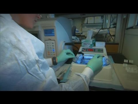 Study shows Zika could affect male fertility