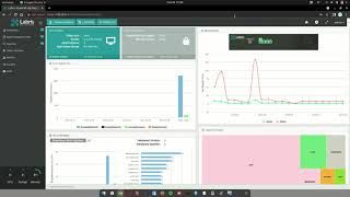 Labris UTM - Ağ ayarları, routing , link/loadbalance/pbr,dhcp ve dns s