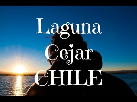 Deep freezing at Cejar Lagoon in the Atacama Desert