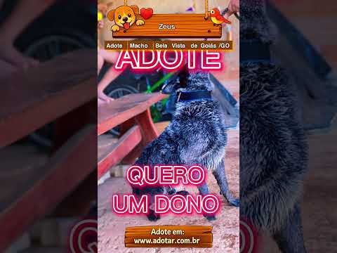 Vídeo de Zeus