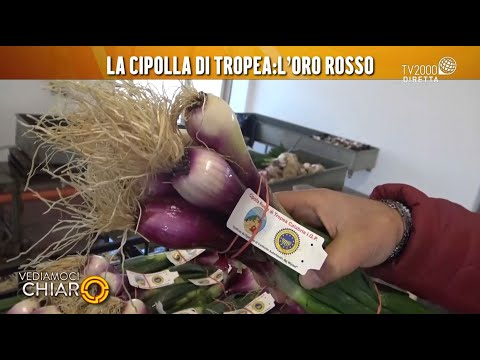 Vediamoci Chiaro, 18 marzo 2022 - La cipolla di Tropea, l'oro rosso