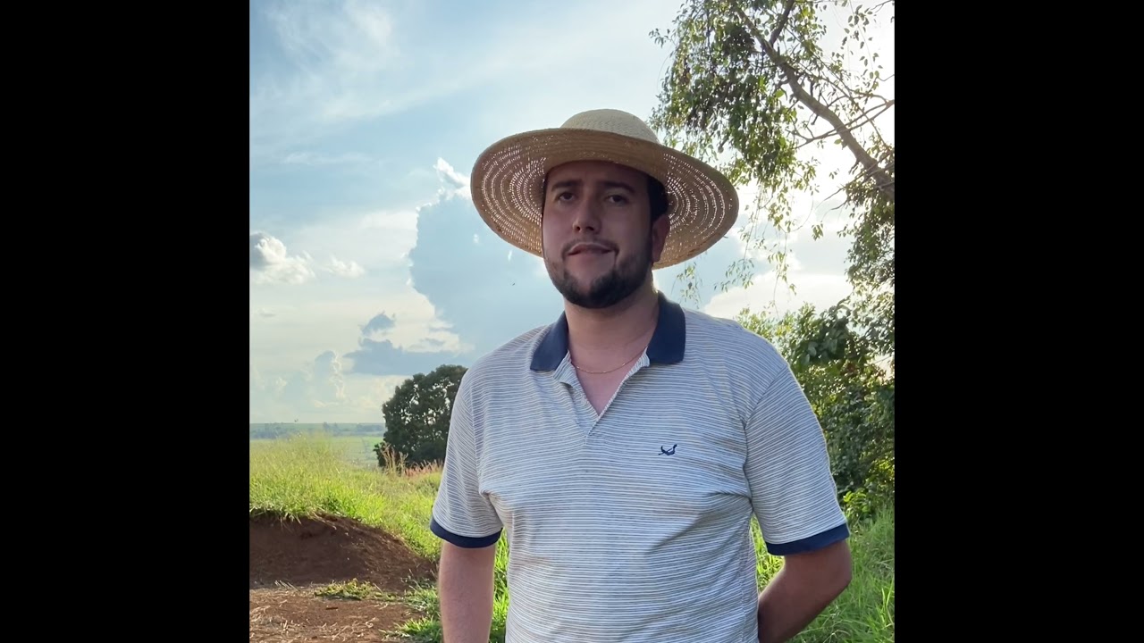 Pedogênese dos planossolos e argissolos