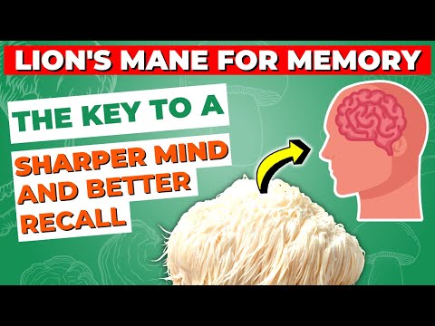 Lion's Mane for Memory: The Key to a Sharper Mind and Better Recall