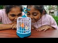 Talking Bird Toy For Diya DiyaIshwarya UNBOXING DIY