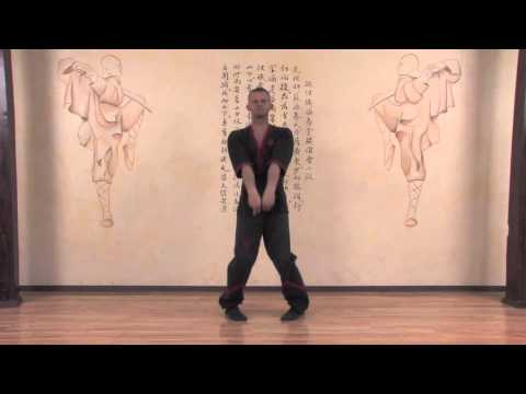 MWTA Sifu Marcin: siu nim tao, 1. Form