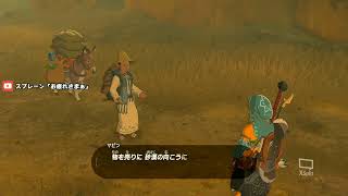 【ゼルダの伝説BoW】初見プレイでやっていきまーす！#８【switch】