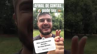 PARA QUE TER CACHORRO QUE FAZ COISAS DE CACHORRO