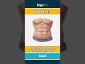 abdomen - the part of your body between... video thumbnail