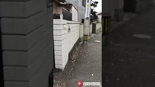 ＜ほあ シャルマー＞福岡神殿に行く。