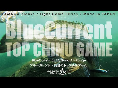 Lanseta Yamaga Blue Current 85 TZ Nano 2.57m 3-21g Fast
