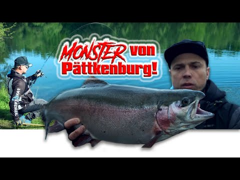 MONSTER-LACHSFORELLE verlangt uns alles ab! Forellenangeln | Forellenteich Angeln in Pättkenburg