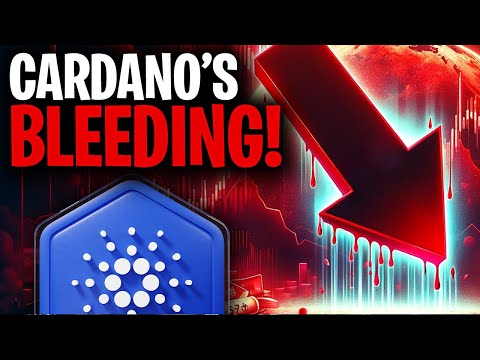 Cardano (ADA) Update: Will ADA see a MEGA surge? (Cardano News Today)