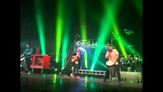 Brian Williamson - Tryo - Concert du 26.10.2012 .wmv