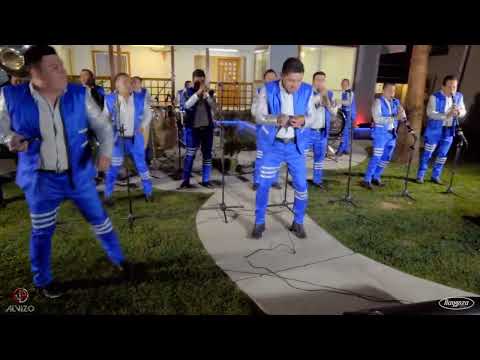 serrucho tuba con banda la pava