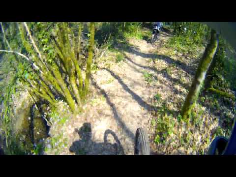 MTB Scott Genius 740 @ Roveta, Poggiona trail (6 di 6)