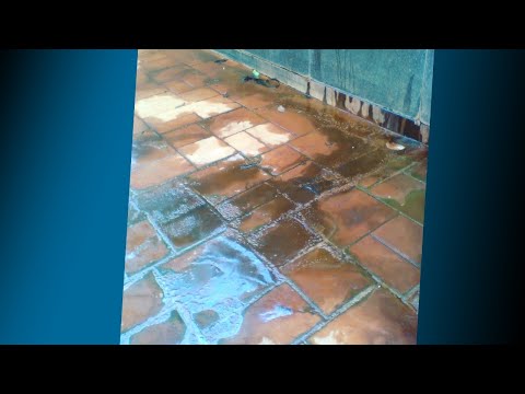‘An oozing coming out of a tomb’: Disturbing leak at mausoleum angers family | WFTV