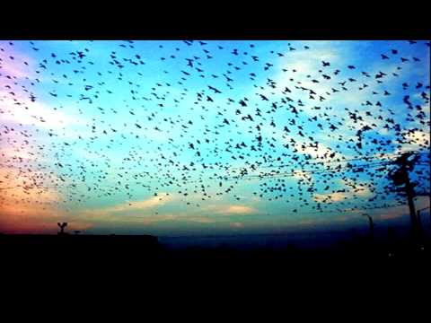 Omorfi mera - Kapoioi