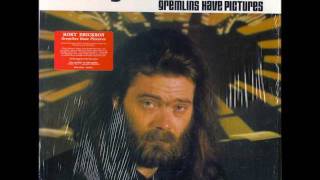 Roky Erickson - Sweet Honey Pie
